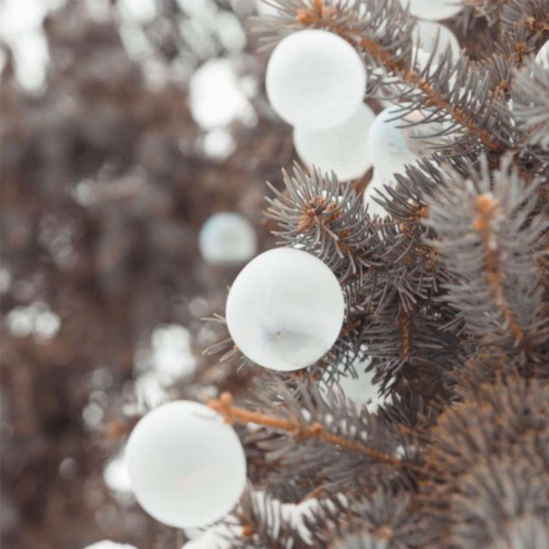 Bulles de Glace à Souffler