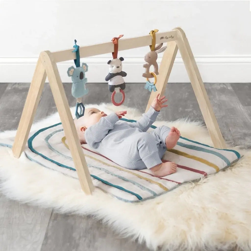 Itzy Ritzy - Wooden Activity Gym, Rainbow