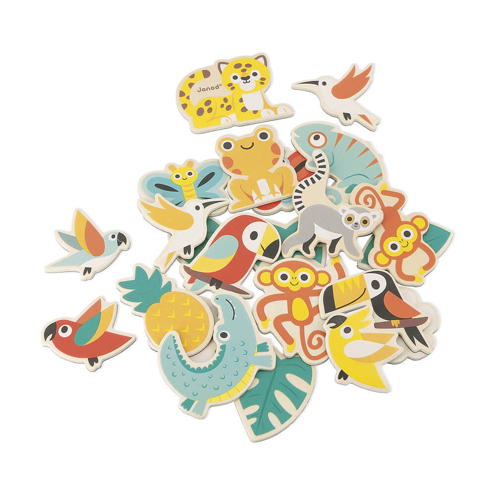 Janod - 24 Piece Magnet Set, Tropical