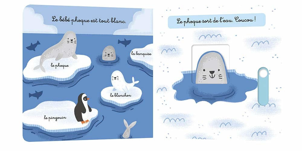 Mon Anim'Agier Book, Les Animaux Du Froid