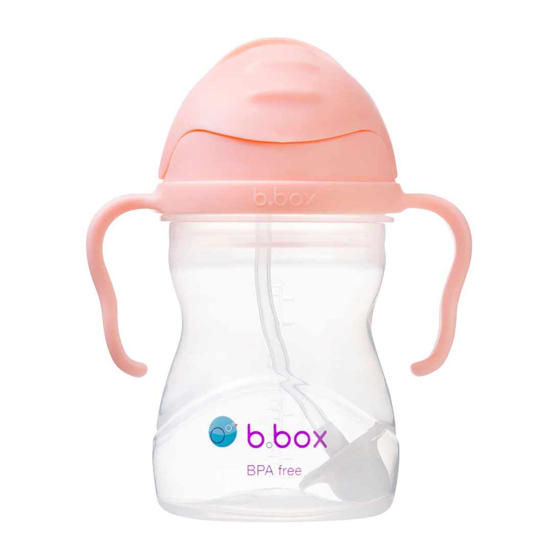 b.box - Sippy Cup with Weighted Straw, Boysenberry