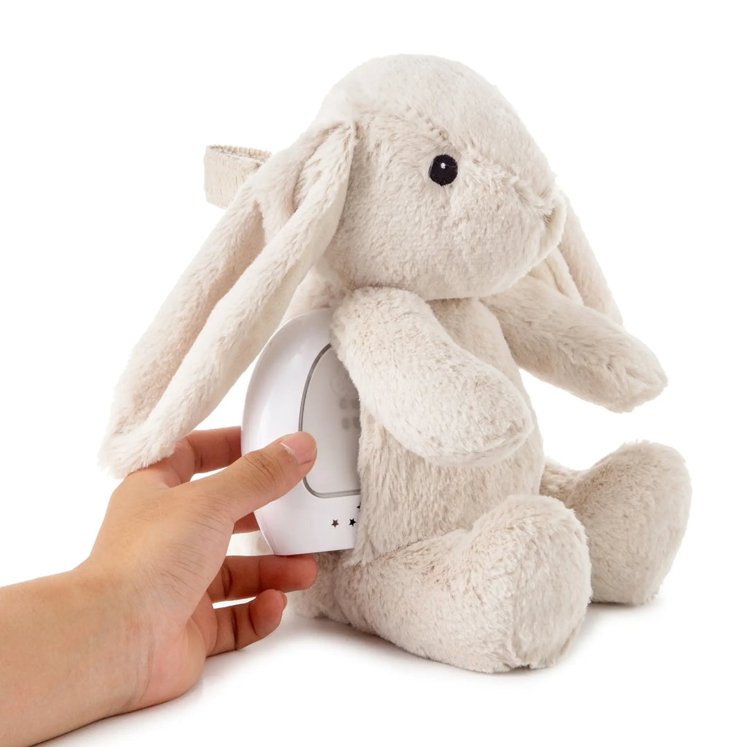 Cloud B - Peluche Musicale Apaisante, Billy le Lapin