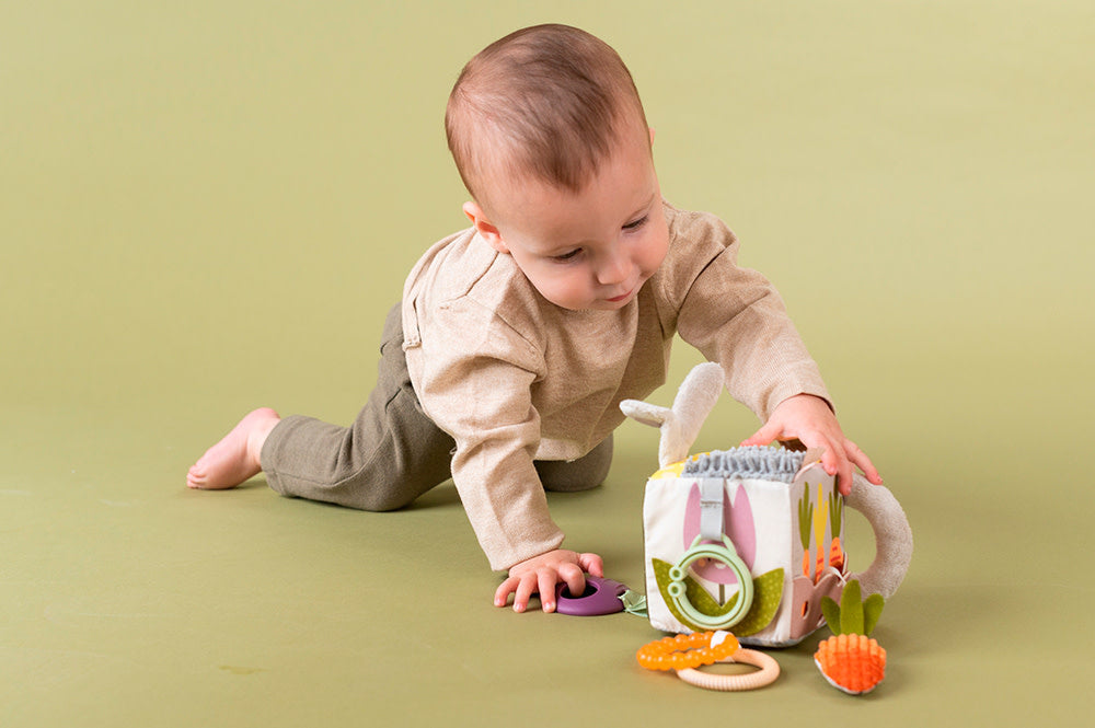 Taf Toys - Cube d'Activités, Jardin Urbain