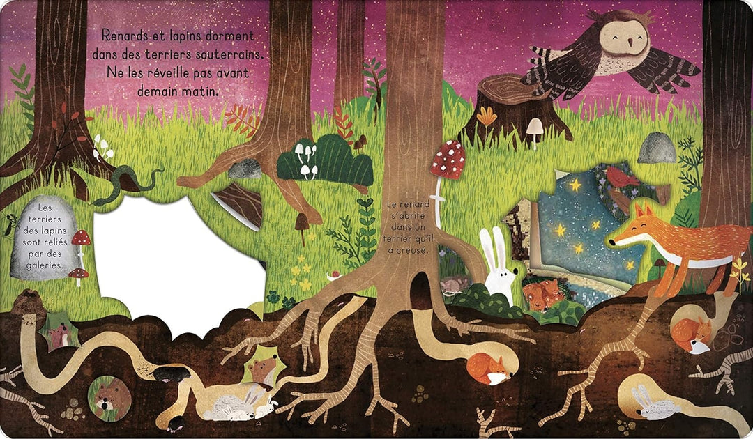 Éditions Kimane - Livre, Bonne Nuit, La Forêt!, 2 ans et +