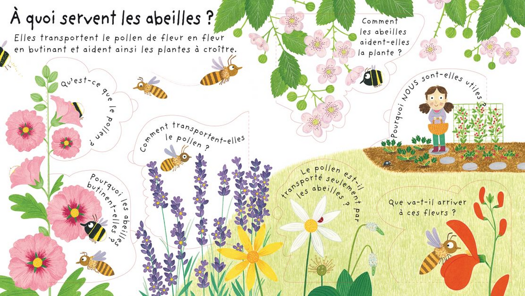 Usborne - Book, Pourquoi A-t-On Besoin des Abeilles?