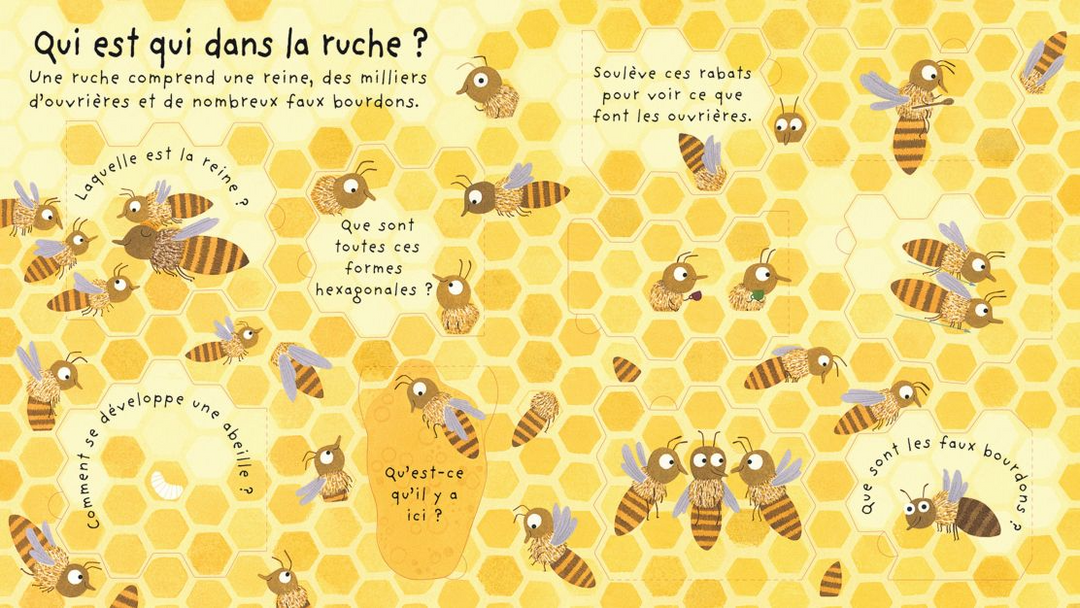 Usborne - Book, Pourquoi A-t-On Besoin des Abeilles?