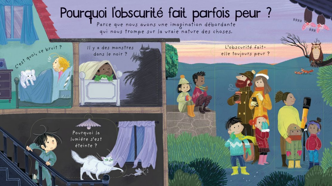 Usborne - Livre, Pourquoi Il Fait Noir la Nuit?