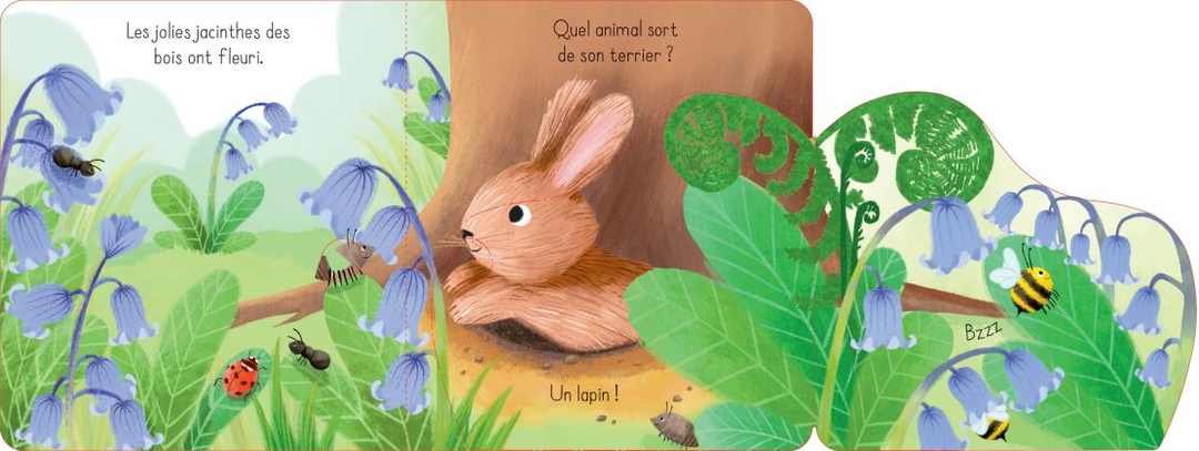 Livre à Rabats, Le Lapin