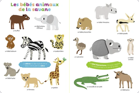 Livre à Toucher, Mes Premiers Bébés Animaux