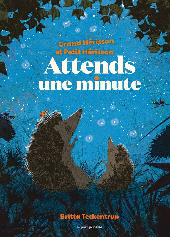 Bayard Jeunesse - Livre, Attends une Minute