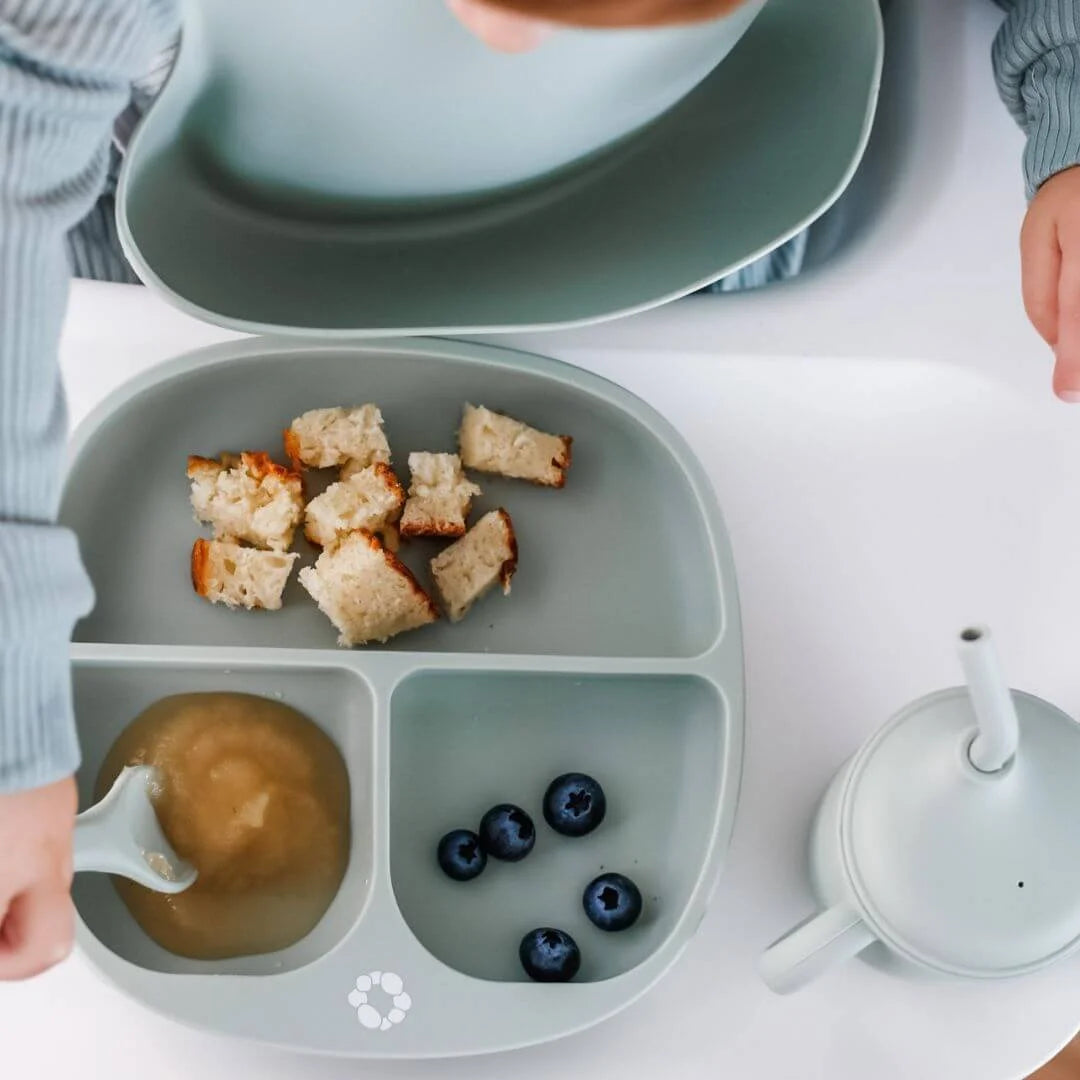 Ensemble Essentiels Repas pour Tout-Petits, Sauge