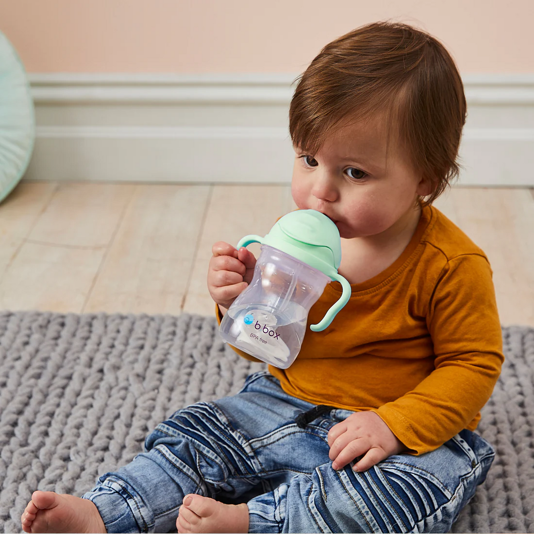 b.box - Sippy Cup with Weighted Straw, Boysenberry