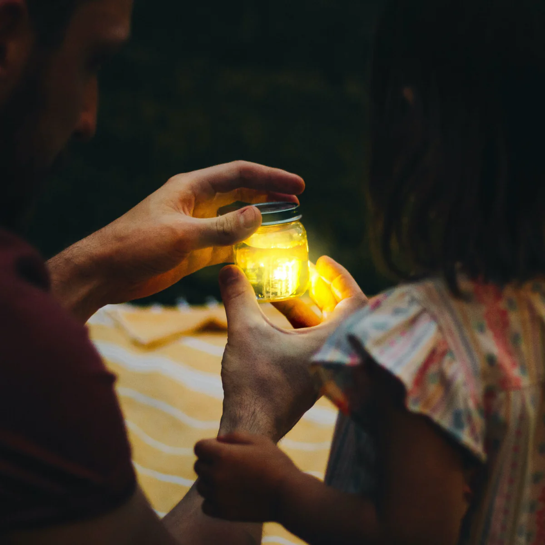 Paquet de 4 Cubes Lumineux Activés par l'Eau, Alex 2.0