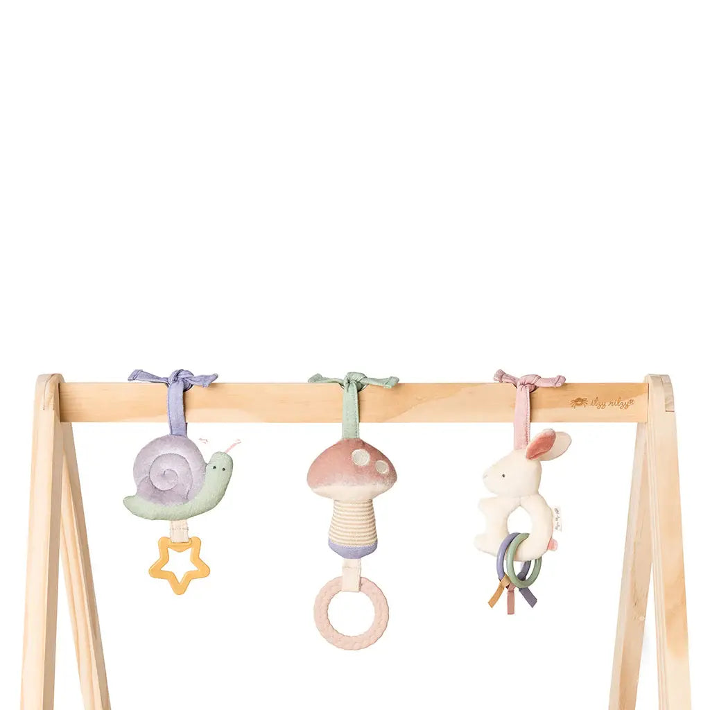 Itzy Ritzy - Wooden Activity Gym, Rainbow