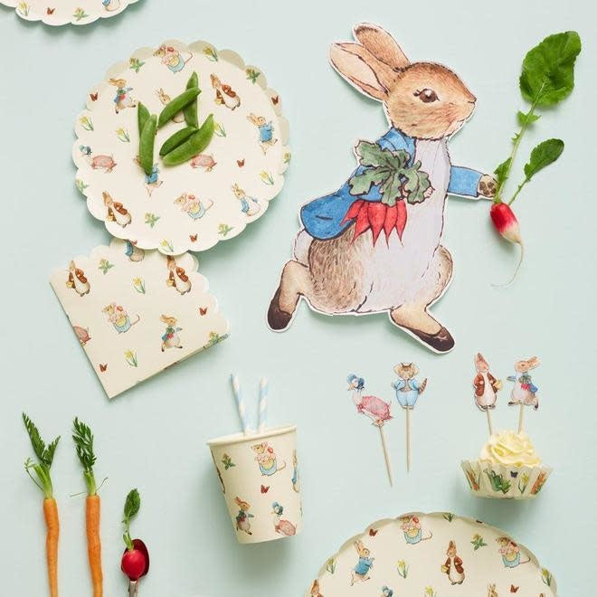 Paquet de 12 Assiettes en Papier, Pierre Lapin