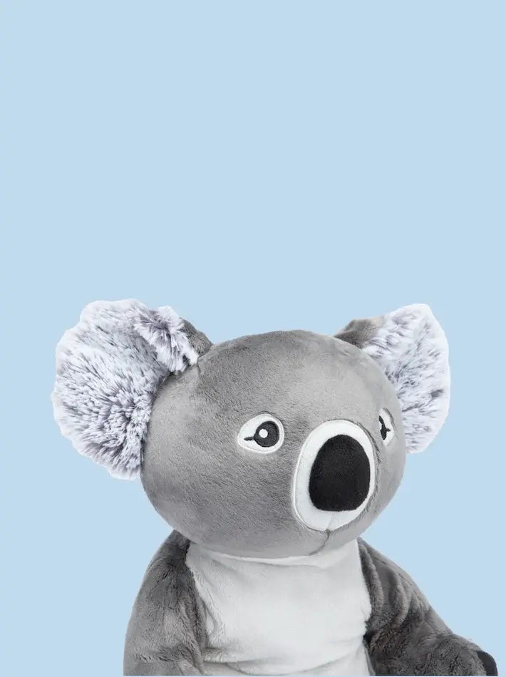 Hugimals - Peluche Lestée, Quinn le Koala