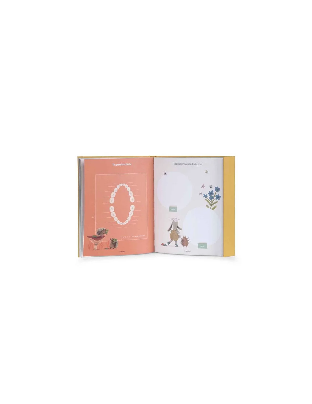 Livre de Naissance, Trois Petit Lapins