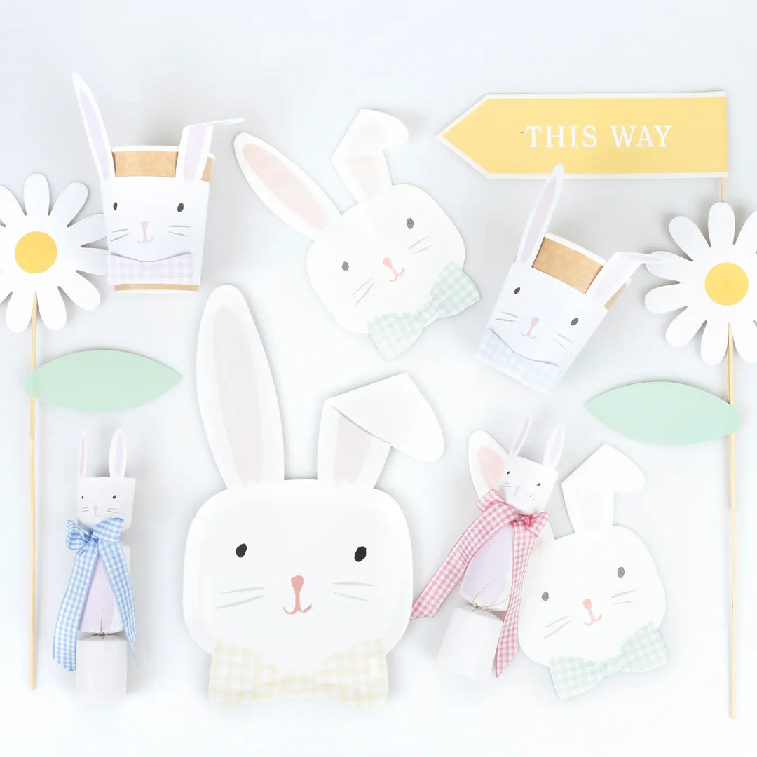 Paquet de 8 Assiettes en Papier, Lapin de Pâques