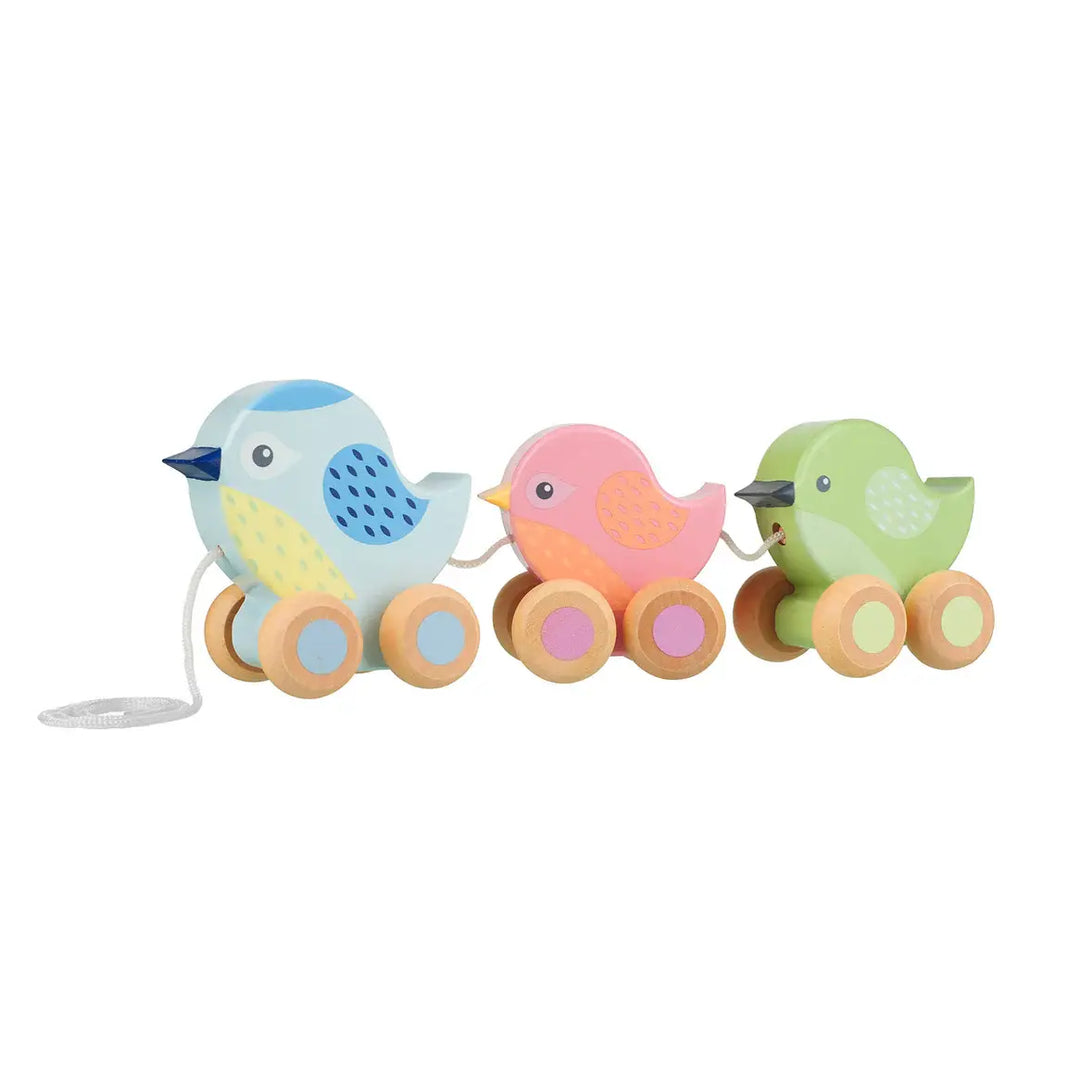 Orange Tree Toys - Jouets à Tirer en Bois, Oiseaux