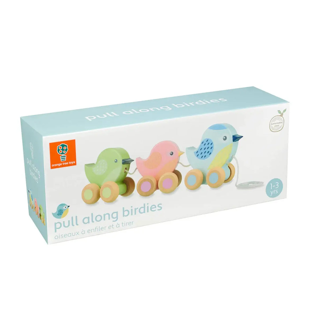 Orange Tree Toys - Jouets à Tirer en Bois, Oiseaux