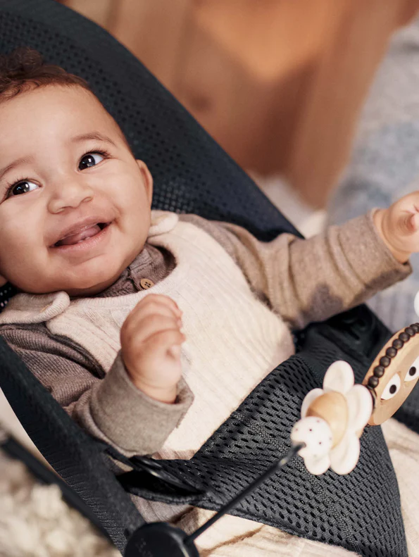 BabyBjörn - Wooden Toy for Bouncer, Pastel