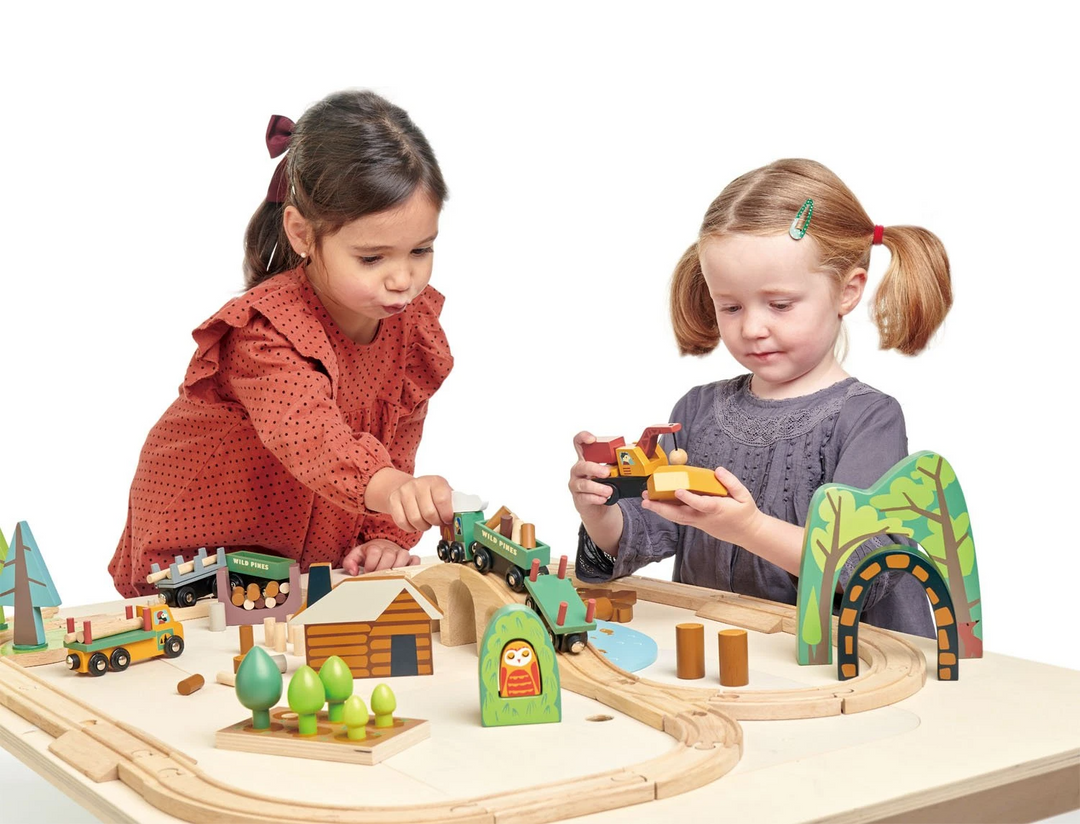 Tender Leaf Toys -  Wild Pines Train Set